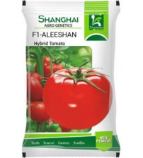 Tomato F1 Aleeshan 10 grams